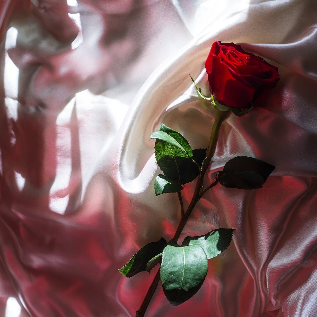 Travel Essentials: Why You Need Silk in Your Luggage - FEELITS