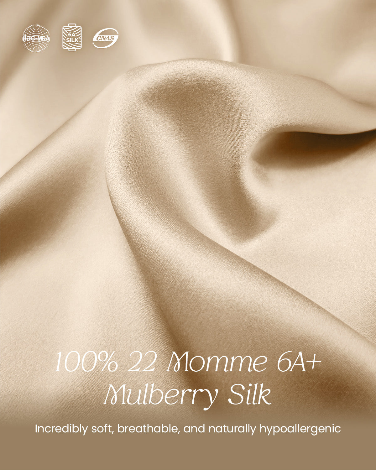 FEELITS TH15 Silk Lace-Trim T-Back Thong – 100% Mulberry Silk, Shiny & Breathable