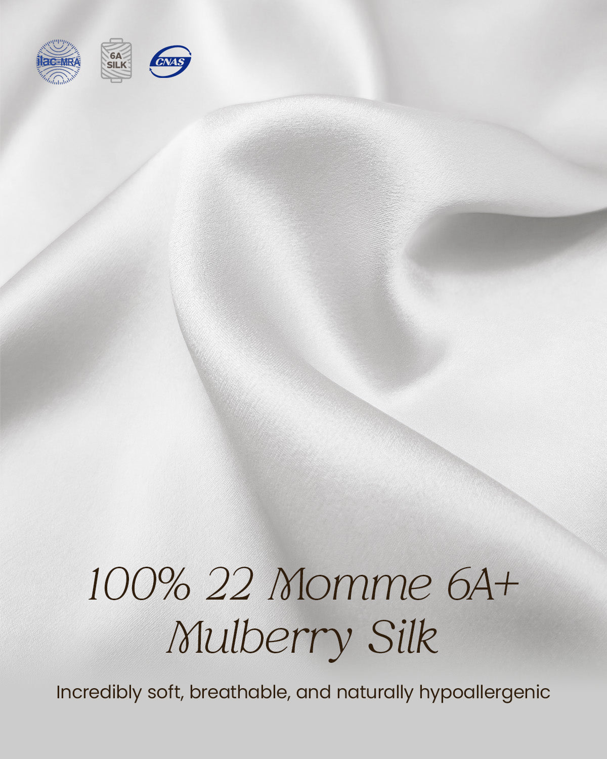FEELITS TH15 Silk Lace-Trim T-Back Thong – 100% Mulberry Silk, Shiny & Breathable