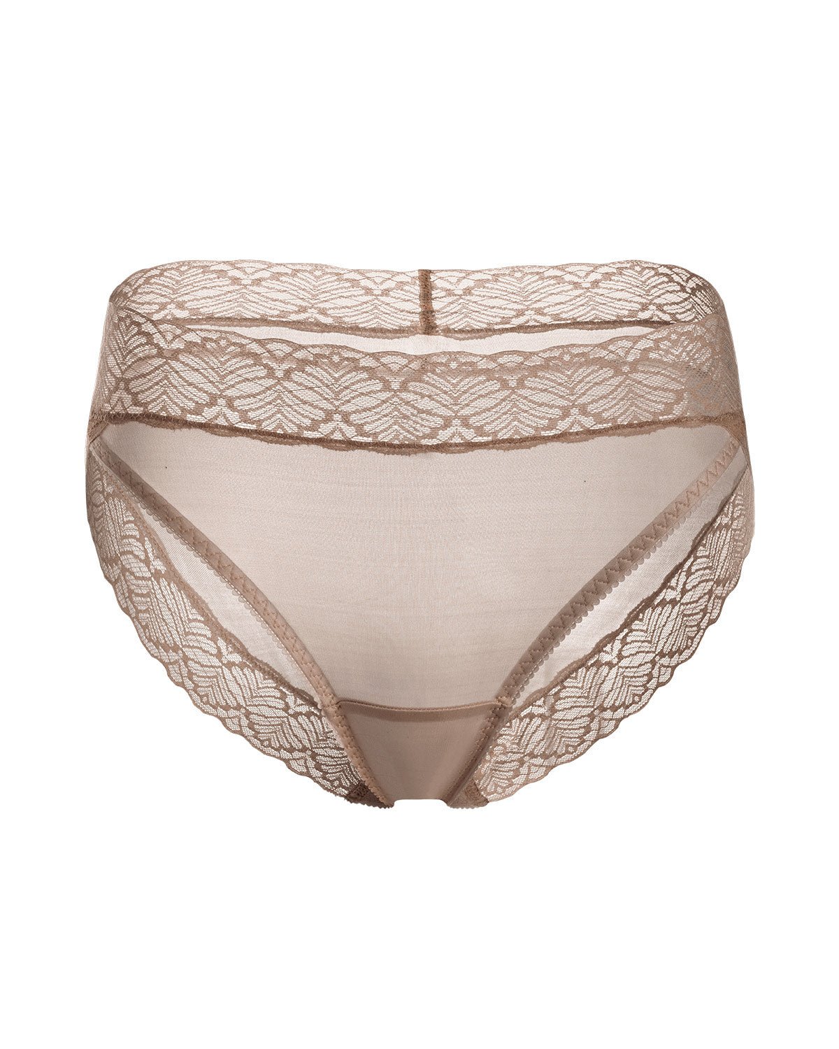 FEELITS 100% Mulberry Silk Underwear, High Rise Bikini Silk Panties, Sexy Lace Briefs for Women - FEELITS