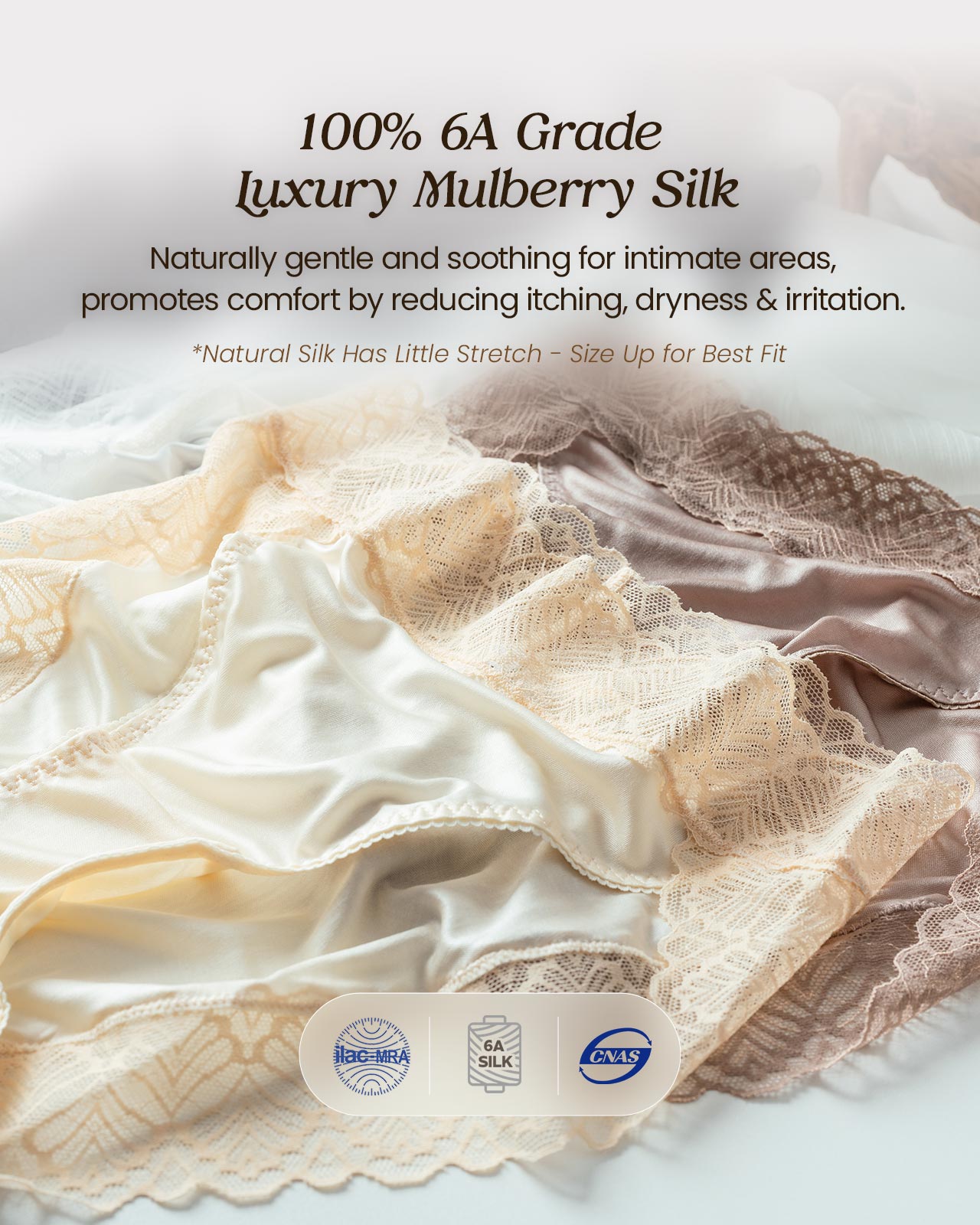FEELITS 100% Mulberry Silk Underwear, High Rise Bikini Silk Panties, Sexy Lace Briefs for Women - FEELITS