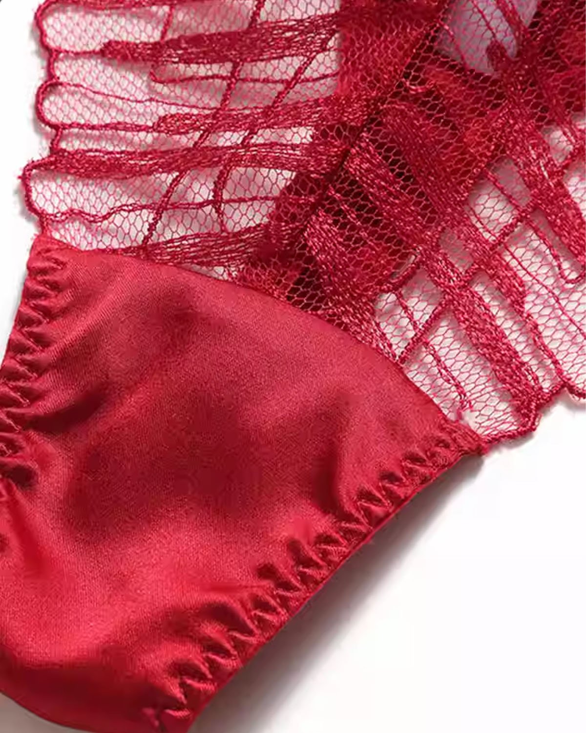 FEELITS 6A Mulberry Silk Sexy Lace Thong – Low - Rise Seamless T - Back Panties for Women - FEELITS