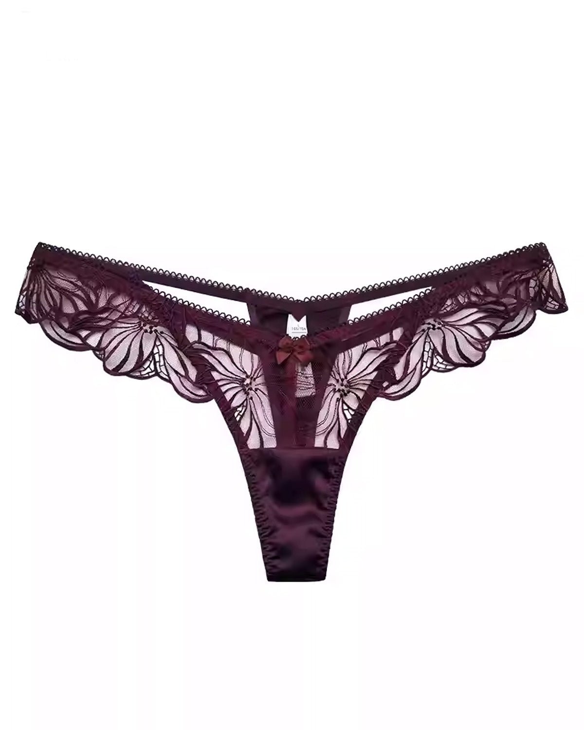 FEELITS Seduction Silk Embroidered Lace Low - Rise Sheer Thong Panties – Luxury 93% Mulberry Silk Lingerie for Women, Sensual, Honeymoon & Wedding Ready - FEELITS