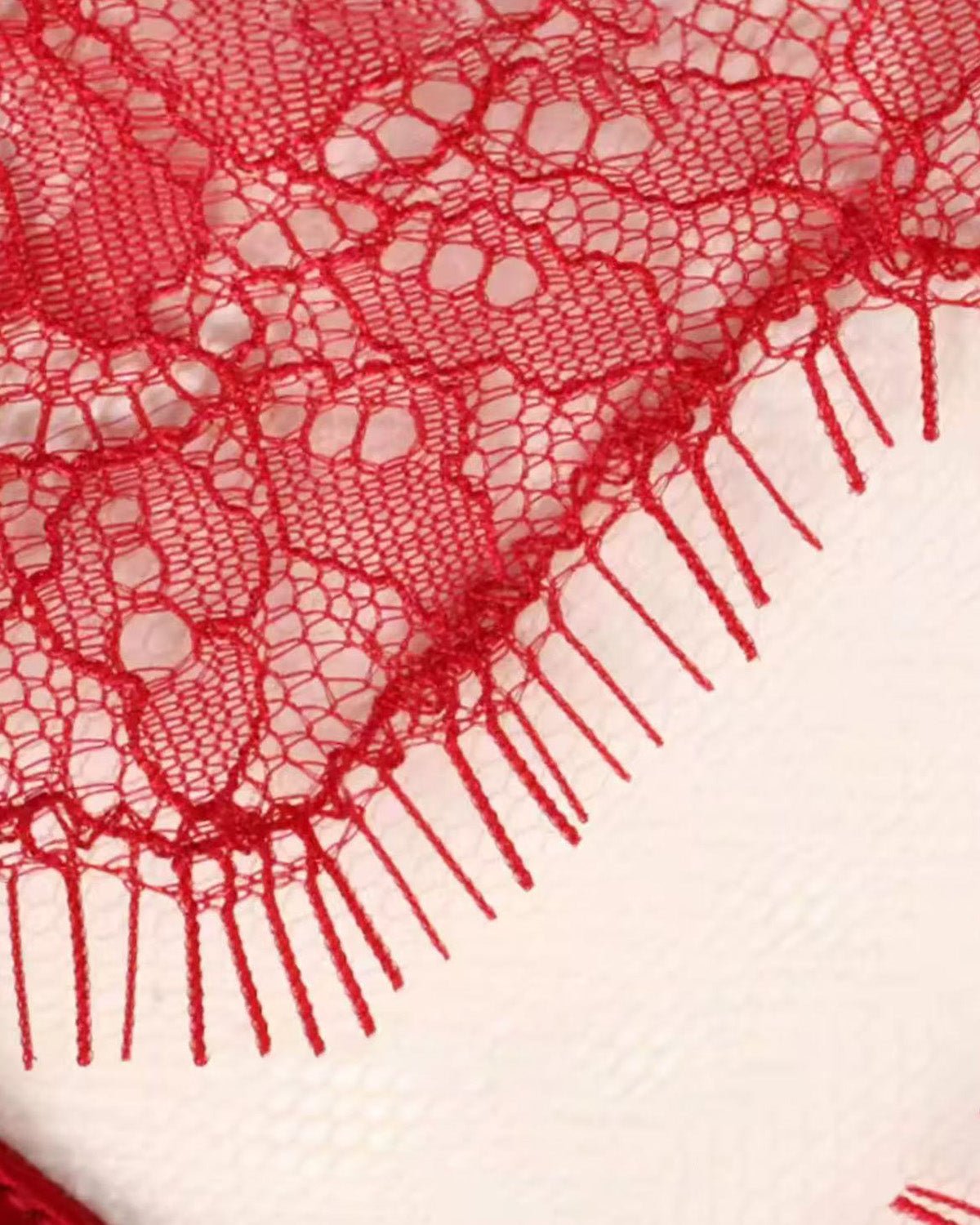 FEELITS Seduction Silk Lace Low - Rise T - Back Thong Panties – Luxury 100% Mulberry Silk Lingerie for Women, Sheer, Sensual & Elegant - FEELITS