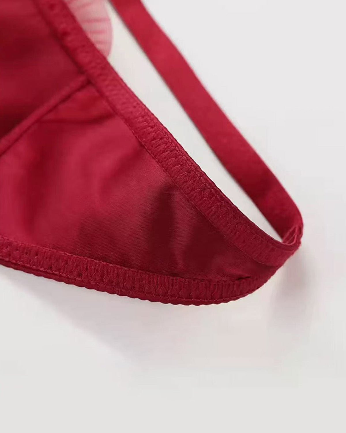 FEELITS Seduction Silk Lace Thong – Luxury 100% 6A Mulberry Silk G - String Panties for Women - FEELITS