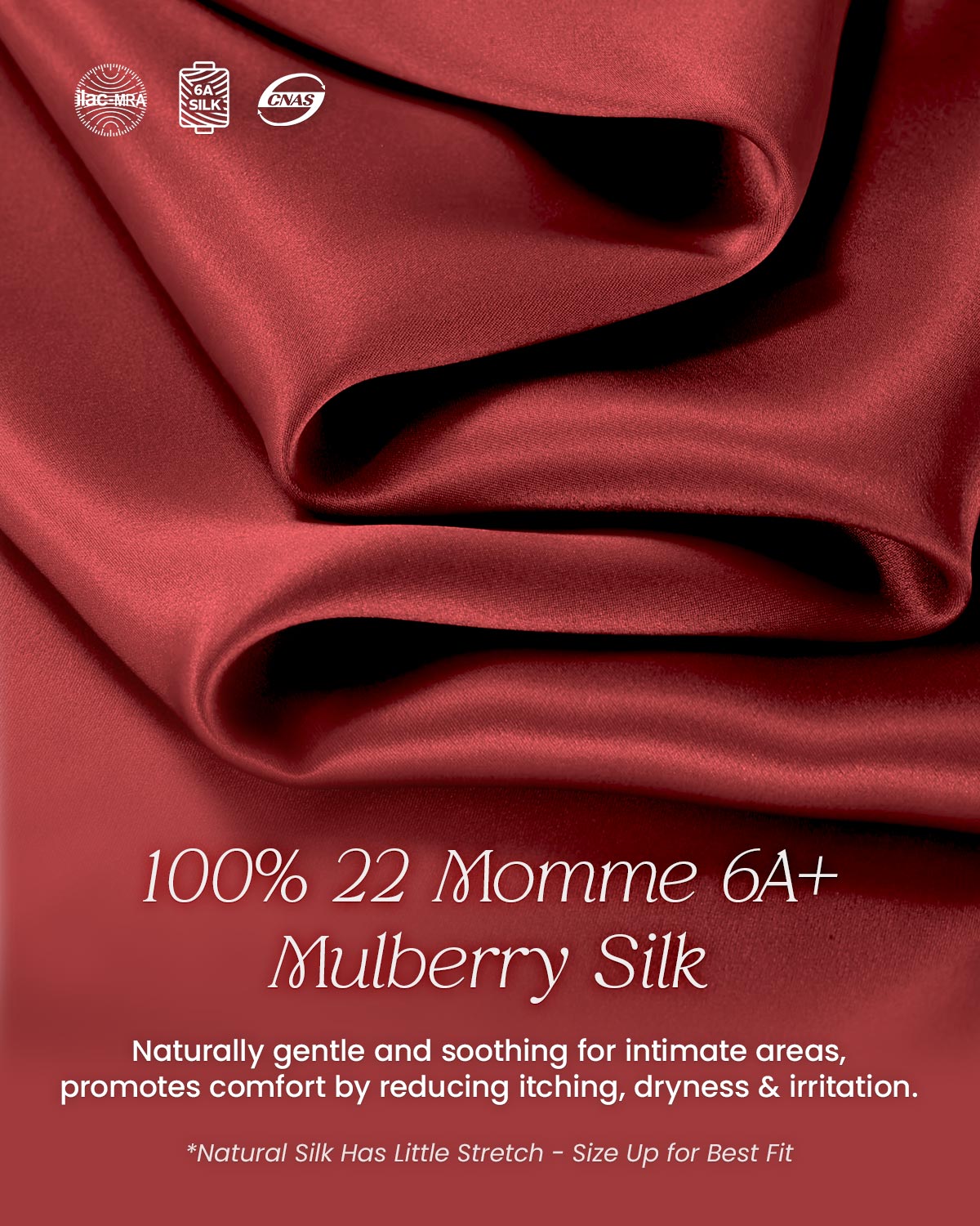 FEELITS Seduction Silk Lace Thong – Luxury 100% 6A Mulberry Silk G - String Panties for Women - FEELITS