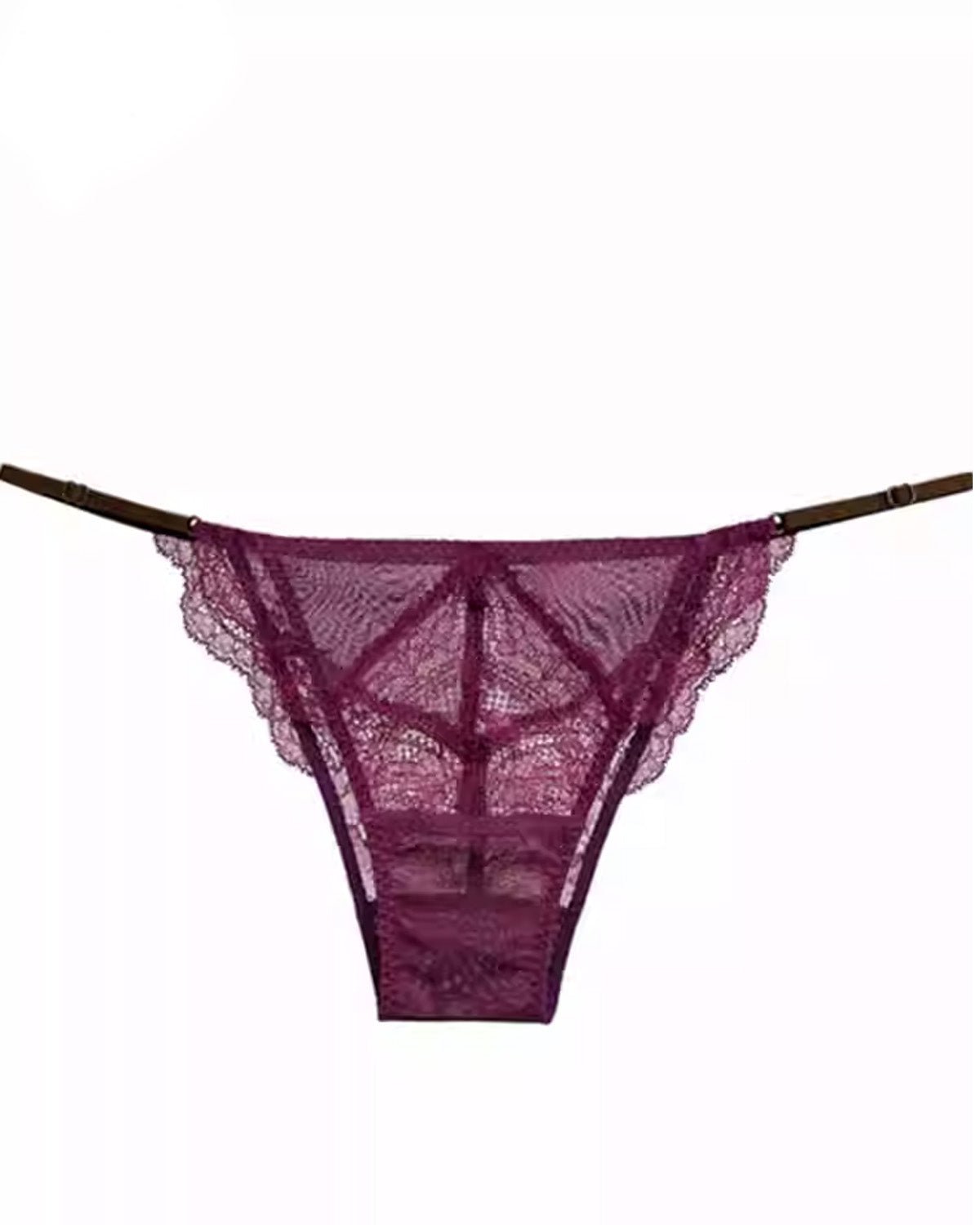 FEELITS Women’s 100% Mulberry Silk Bikini Panties – Sheer Mesh & Lace, Low - Rise Seamless Sexy Underwear - FEELITS