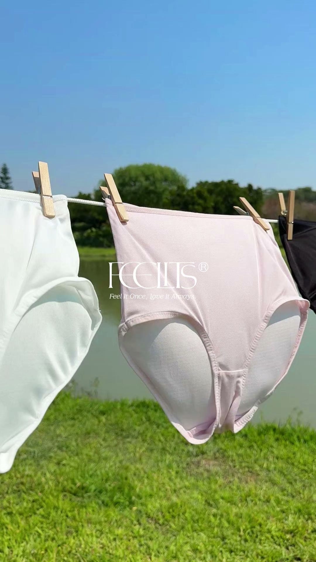 FEELITS KN17 Silk High-Waisted Brief Panties – 100% Mulberry Silk, Breathable & Ultra-Soft - FEELITS