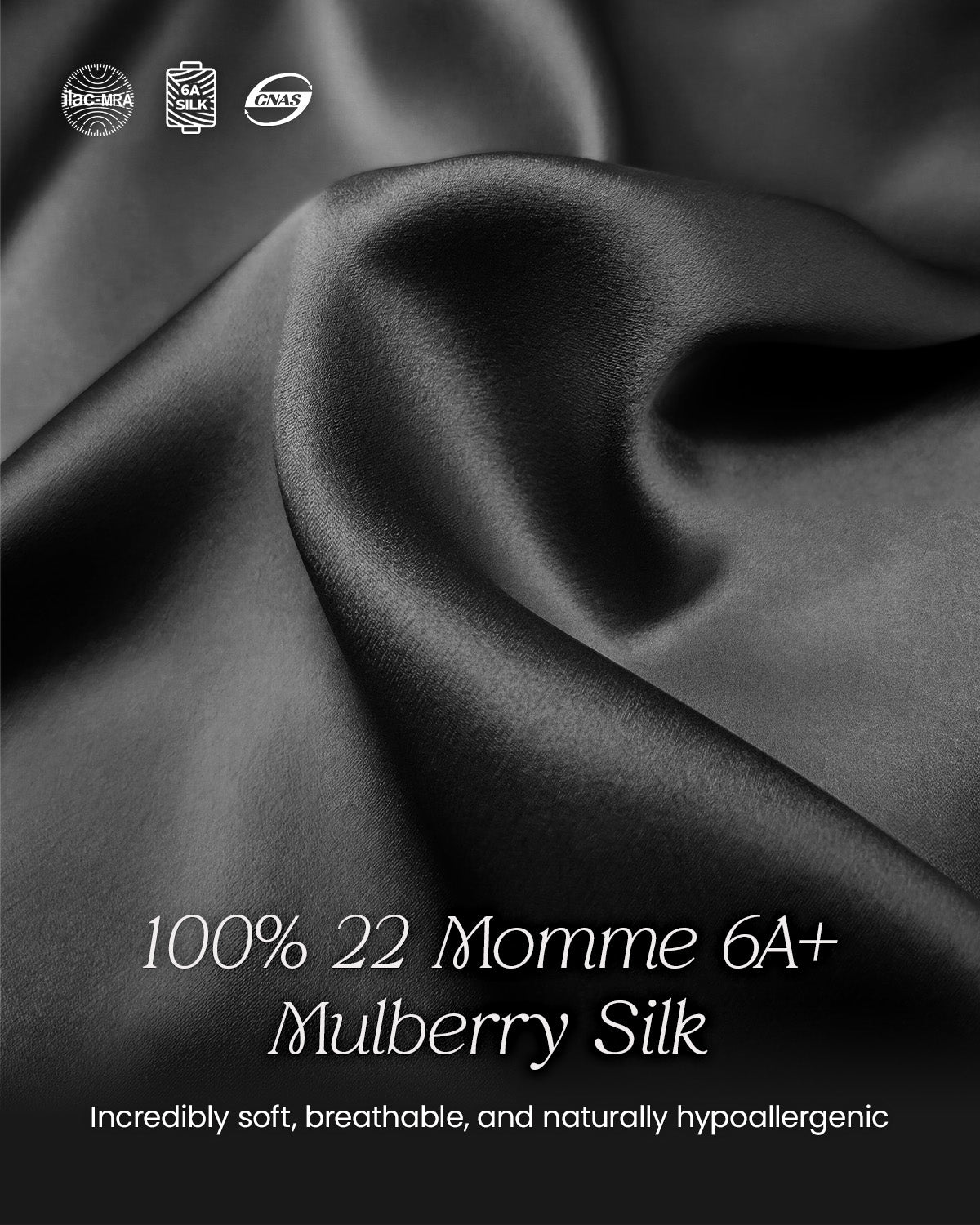 FEELITS TH15 Silk Lace-Trim T-Back Thong – 100% Mulberry Silk, Shiny & Breathable