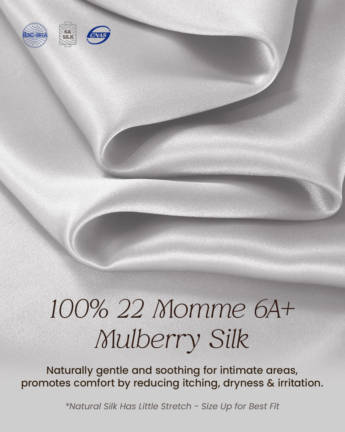 FEELITS 100% Mulberry Silk Briefs for Women – Low - Rise Lace Trim Panties, 6A Grade Silk, Soft & Breathable - FEELITS