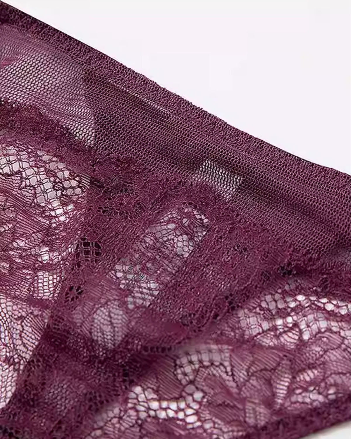 FEELITS 100% Mulberry Silk Thong for Women – Sheer Lace & Low - Rise Design - FEELITS
