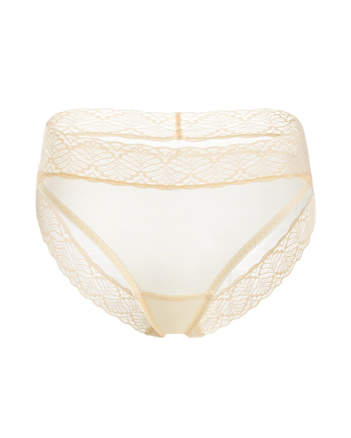 FEELITS 100% Mulberry Silk Underwear, High Rise Bikini Silk Panties, Sexy Lace Briefs for Women - FEELITS