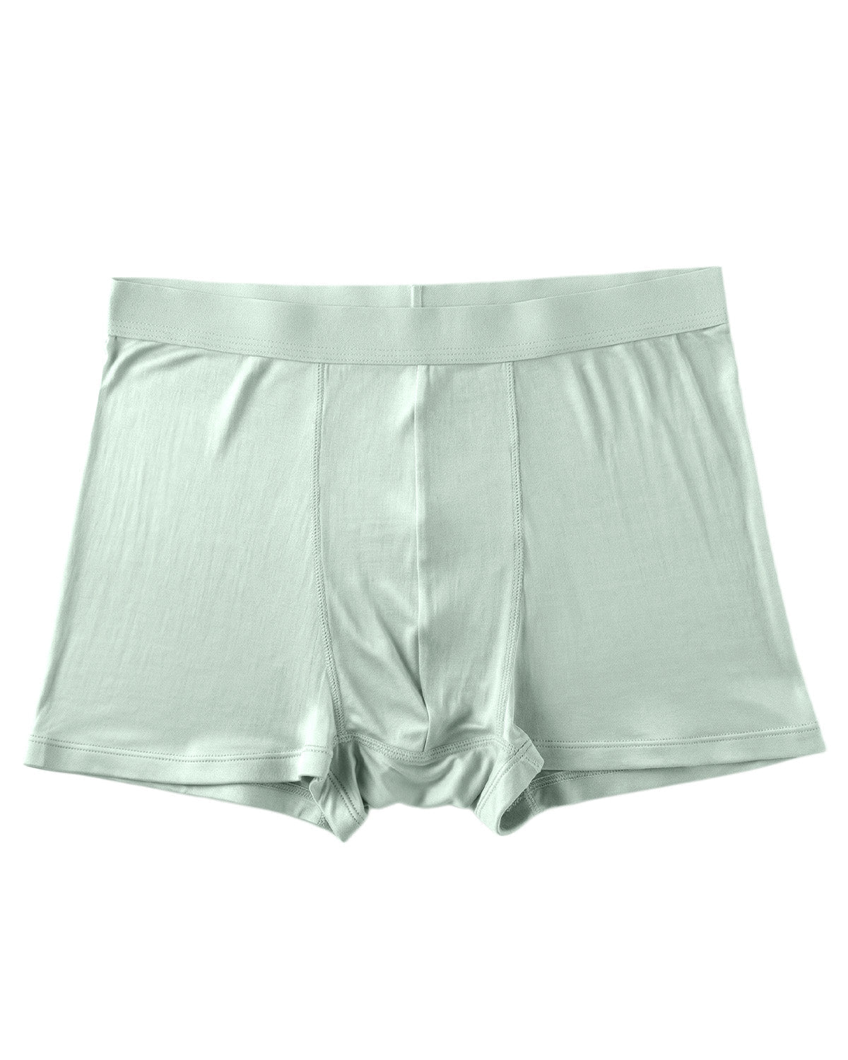 FEELITS Men's Mulberry Silk Boxer Briefs – Ultra - Soft Breathable Silk Underwear - FEELITS