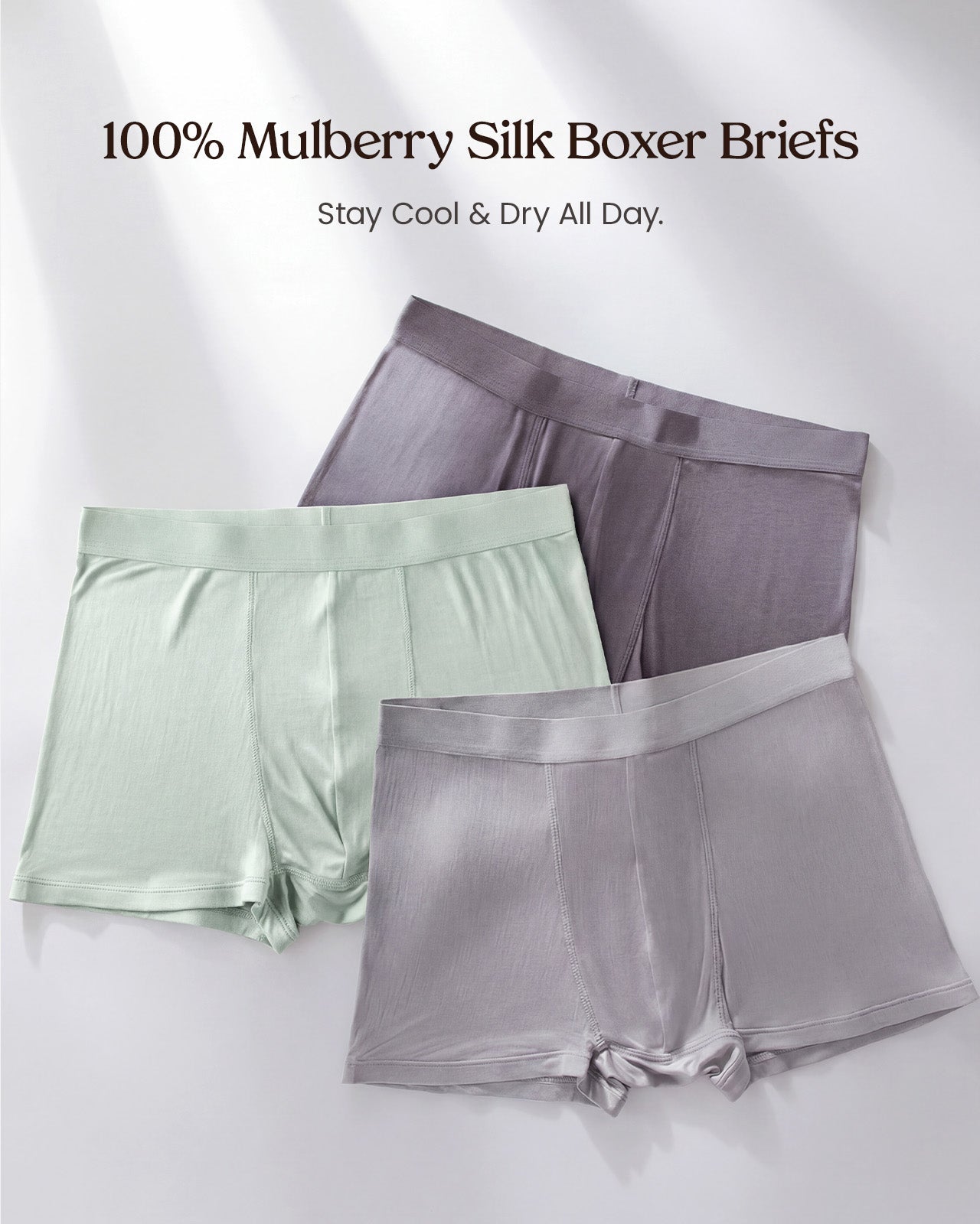 FEELITS Men's Mulberry Silk Boxer Briefs – Ultra - Soft Breathable Silk Underwear - FEELITS