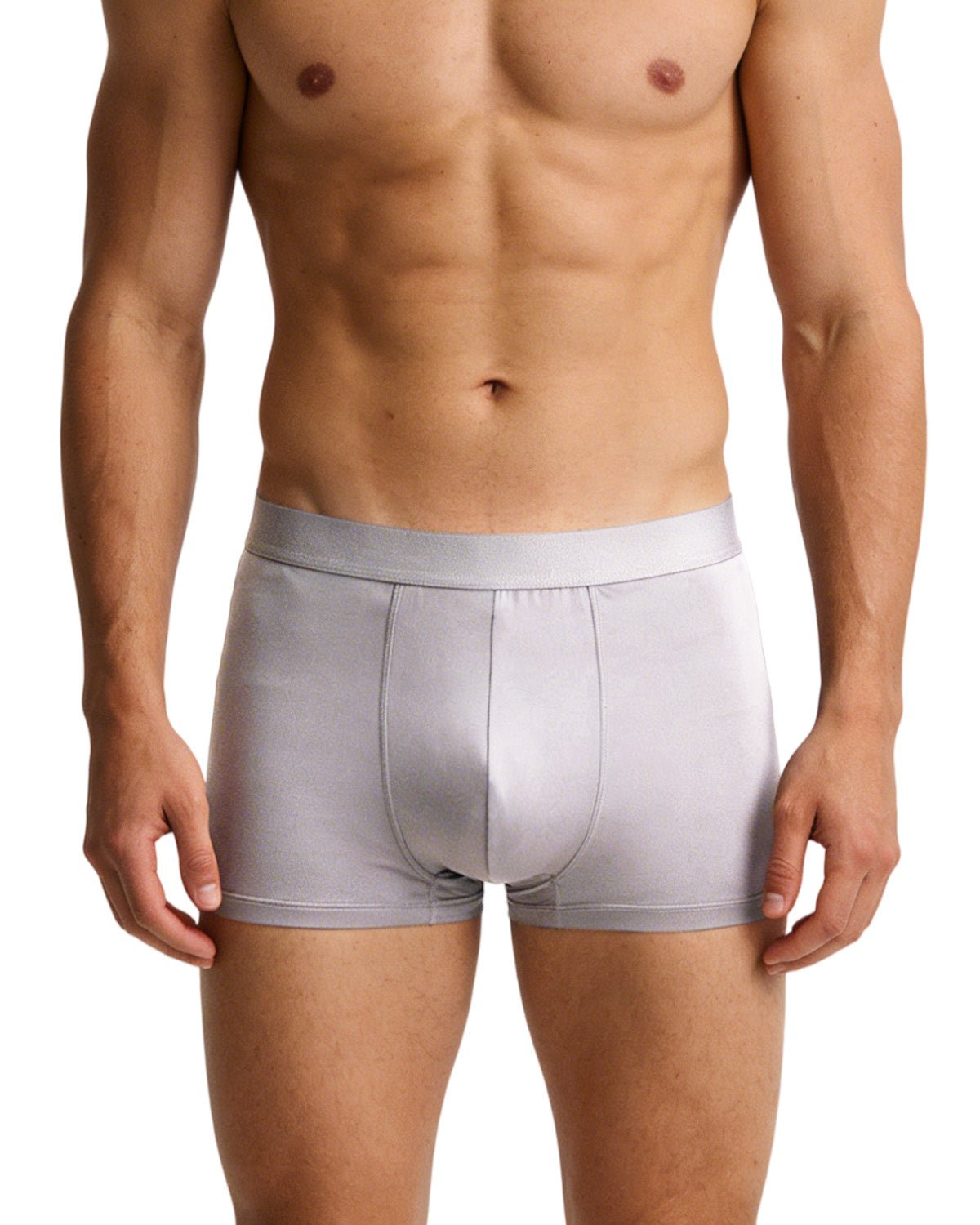 FEELITS Men's Mulberry Silk Boxer Briefs – Ultra - Soft Breathable Silk Underwear - FEELITS