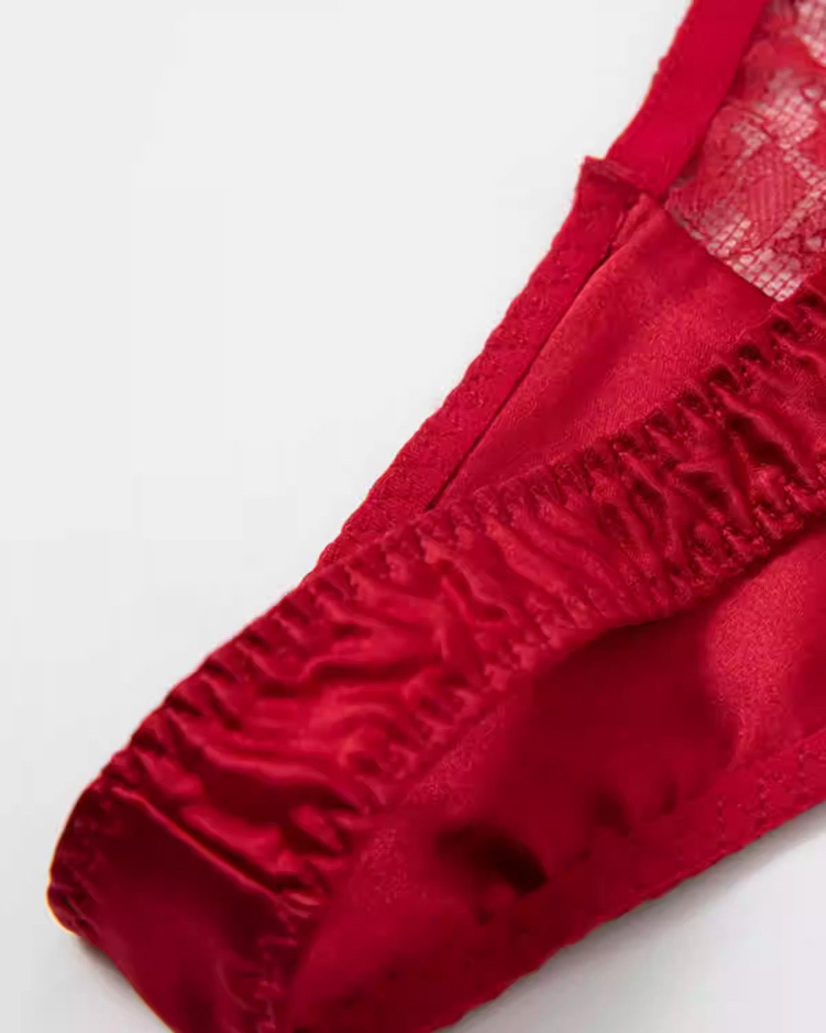 FEELITS Mulberry Silk Low - Rise Lace Thong Panties for Women – Seamless Luxury Lingerie - FEELITS