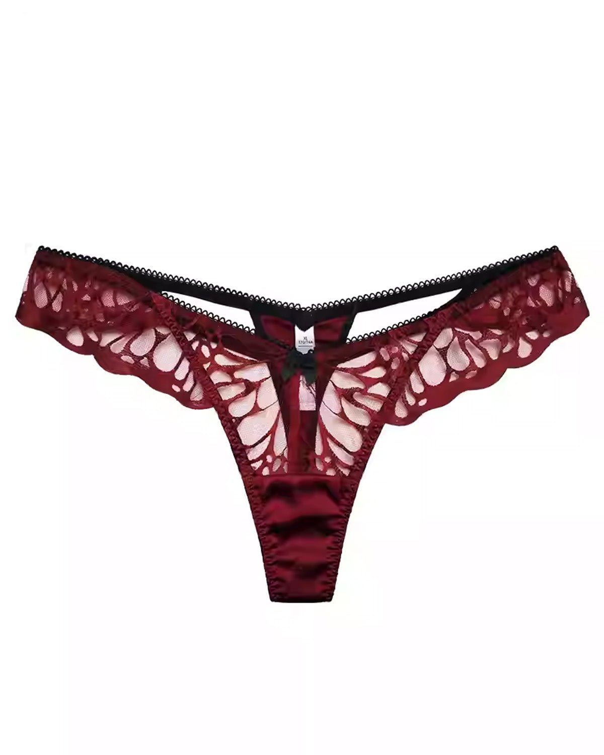 FEELITS Seduction Silk Embroidered Lace Low - Rise Sheer Thong Panties – Luxury 93% Mulberry Silk Lingerie for Women, Sensual, Honeymoon & Wedding Ready - FEELITS