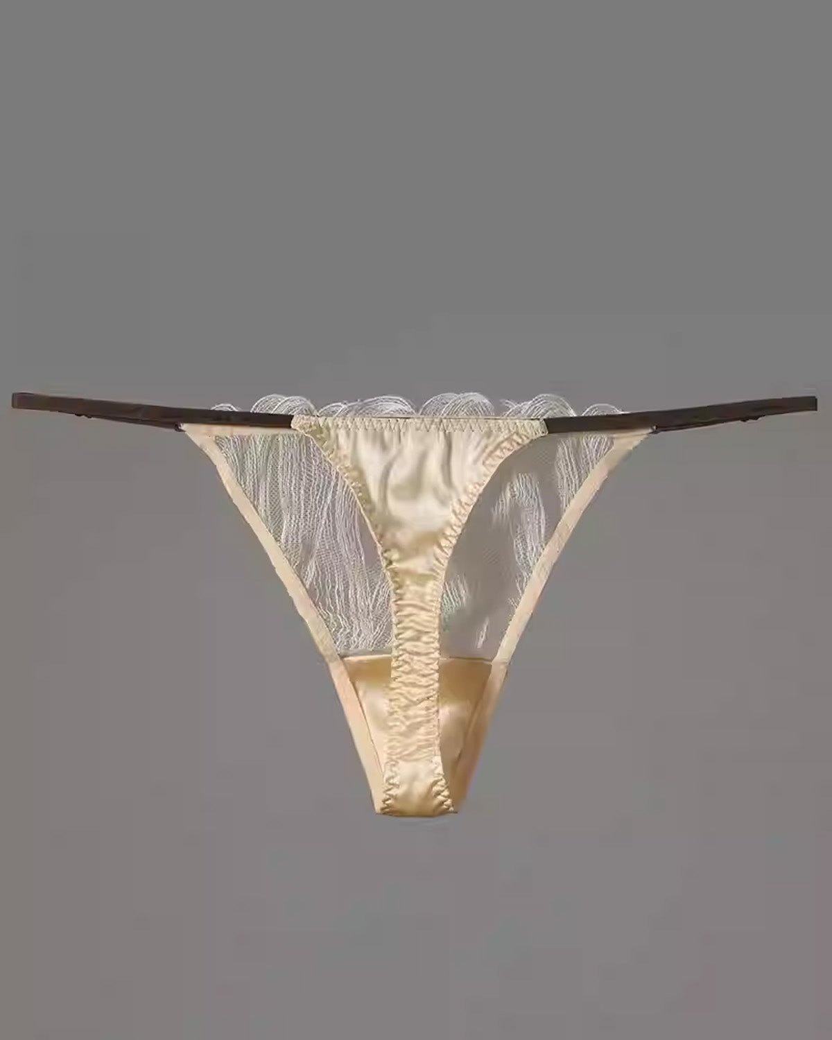 FEELITS Seduction Silk Embroidered Lace Low - Rise T - Back Thong Panties – Luxury 93% Mulberry Silk Lingerie for Women, Sheer, Sensual & Elegant - FEELITS