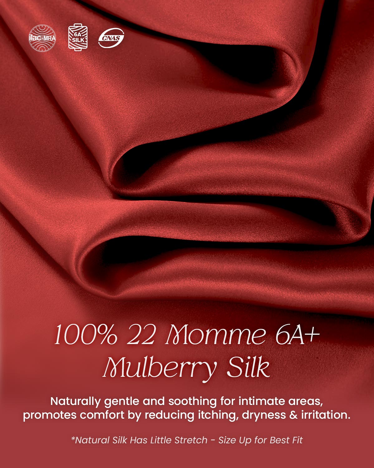 FEELITS Seduction Silk Lace Low - Rise T - Back Thong Panties – Luxury 100% Mulberry Silk Lingerie for Women, Sheer, Sensual & Elegant - FEELITS