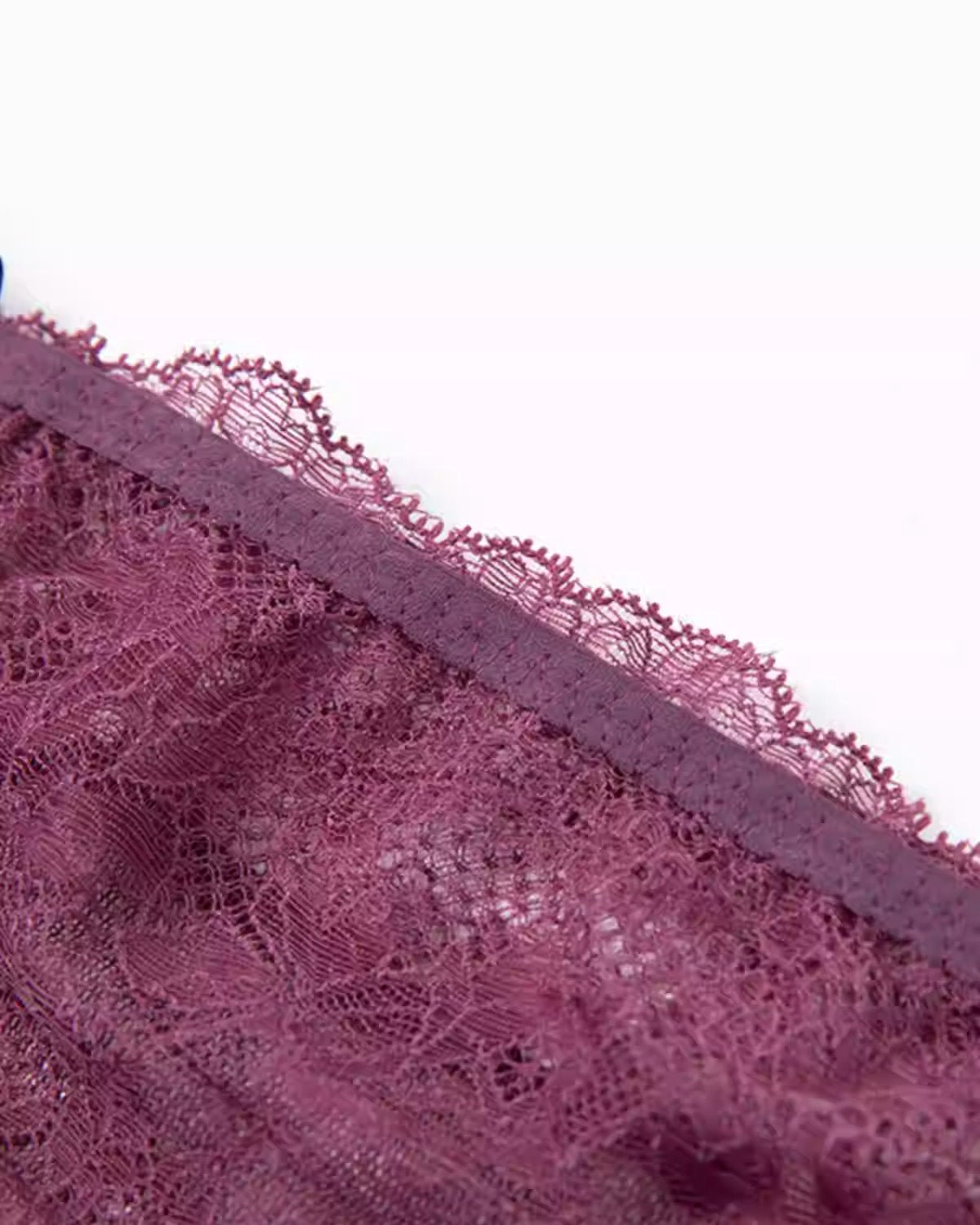 FEELITS Seduction Silk Sheer Lace Low - Rise Bikini Panties – 100% Mulberry Silk Lingerie for Women, Sensual, Elegant & Comfortable - FEELITS