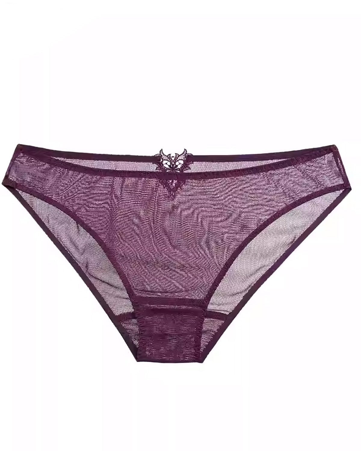 FEELITS Silk & Lace Brief Panties – 100% Mulberry Silk, Sheer Sexy Lingerie, Seamless Women’s Panties - FEELITS