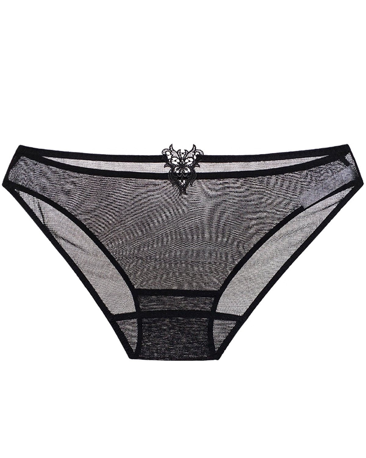 FEELITS Silk & Lace Brief Panties – 100% Mulberry Silk, Sheer Sexy Lingerie, Seamless Women’s Panties - FEELITS
