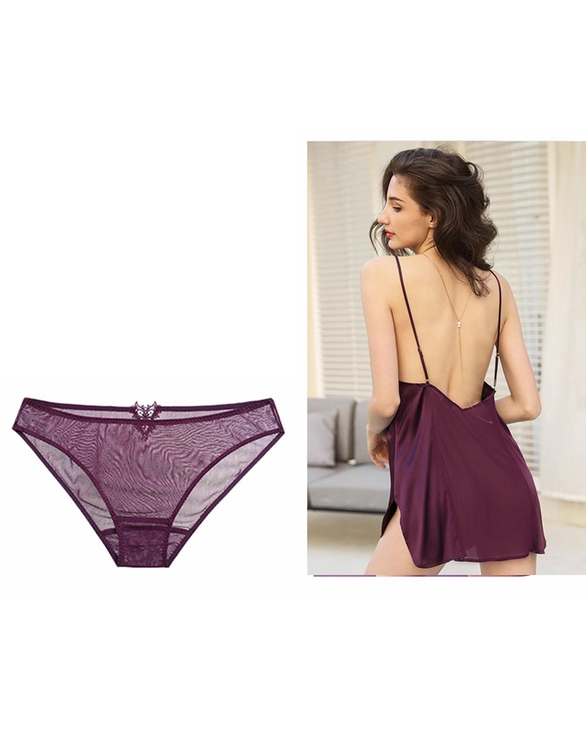 FEELITS Silk & Lace Brief Panties – 100% Mulberry Silk, Sheer Sexy Lingerie, Seamless Women’s Panties - FEELITS