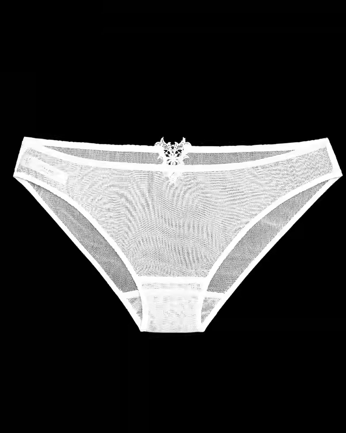 FEELITS Silk & Lace Brief Panties – 100% Mulberry Silk, Sheer Sexy Lingerie, Seamless Women’s Panties - FEELITS