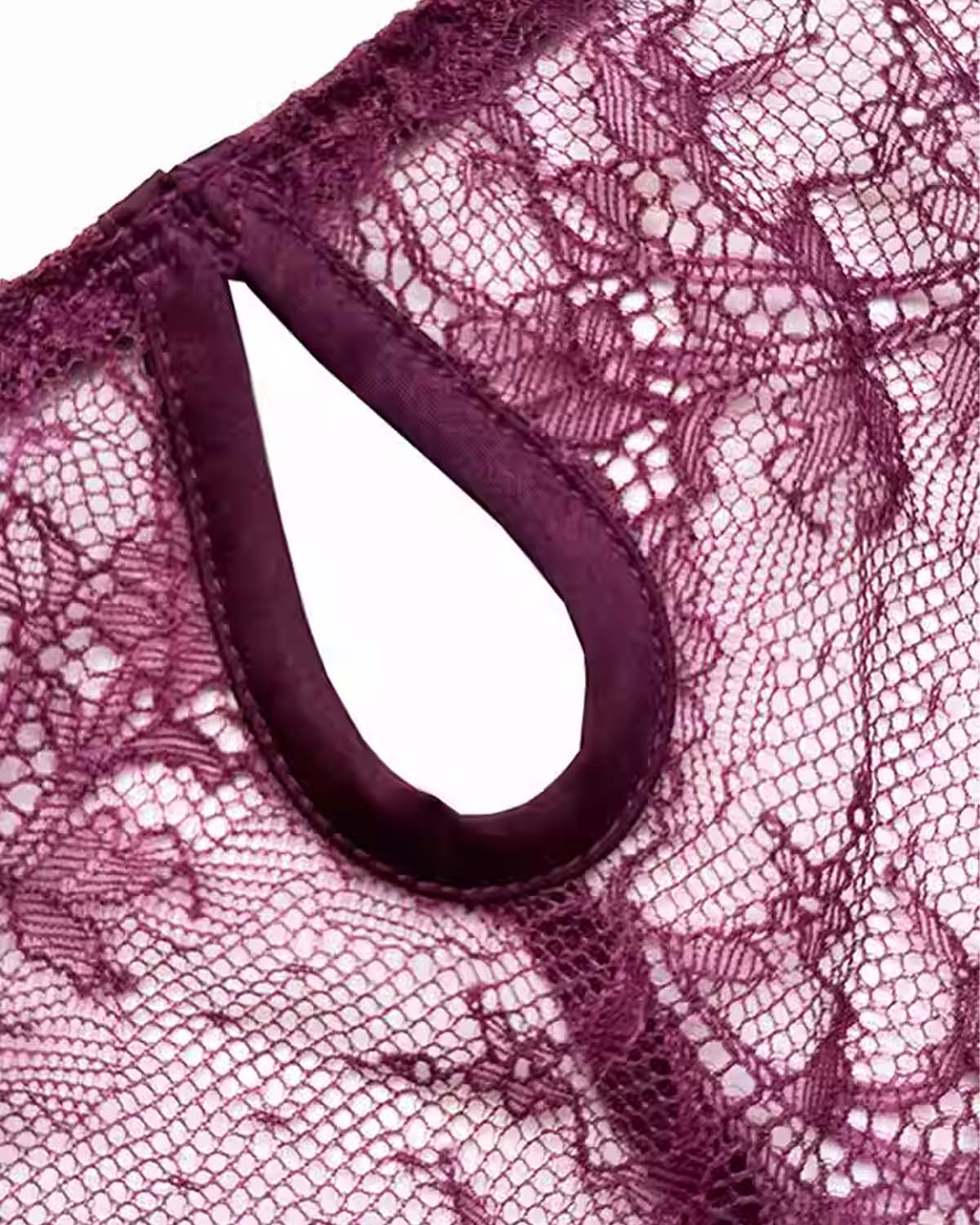 FEELITS Silk & Lace Brief Panties – Mulberry Silk, Sheer Sexy Lingerie, Seamless Women’s Panties - FEELITS