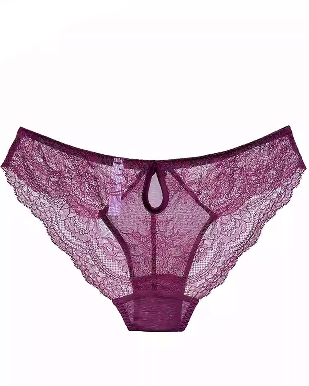 FEELITS Silk & Lace Brief Panties – Mulberry Silk, Sheer Sexy Lingerie, Seamless Women’s Panties - FEELITS