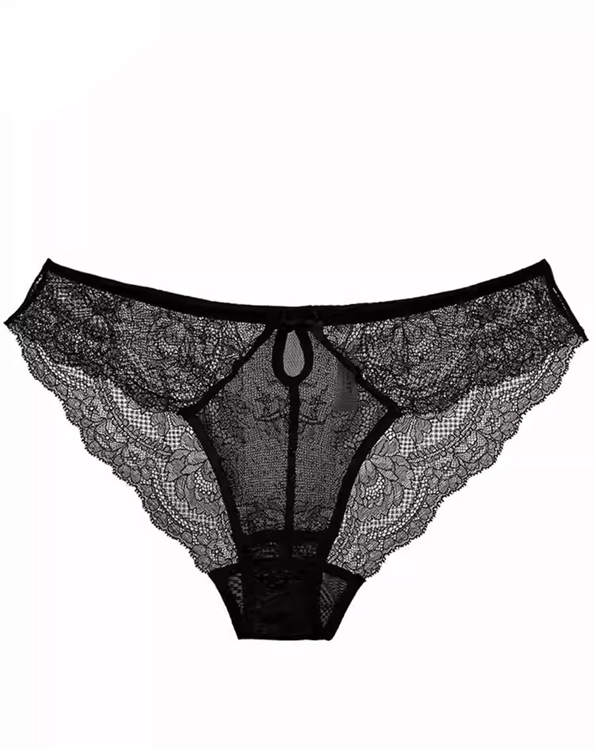 FEELITS Silk & Lace Brief Panties – Mulberry Silk, Sheer Sexy Lingerie, Seamless Women’s Panties - FEELITS