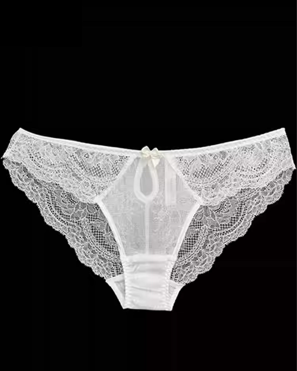 FEELITS Silk & Lace Brief Panties – Mulberry Silk, Sheer Sexy Lingerie, Seamless Women’s Panties - FEELITS