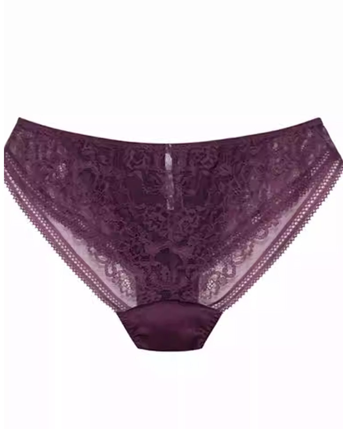 FEELITS Silk & Lace Low - Rise Bikini Panties – Mulberry Silk, Sheer Sexy Lingerie with Bow Detail, Seamless Women’s Panties - FEELITS