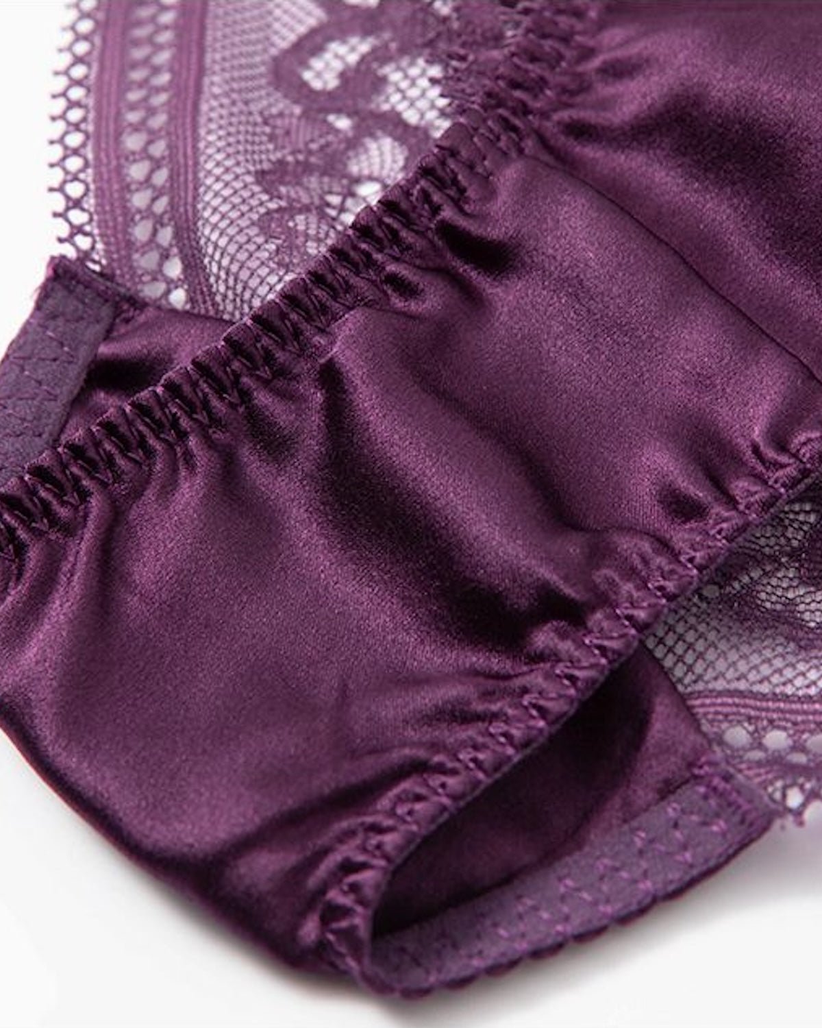 FEELITS Silk & Lace Low - Rise Bikini Panties – Mulberry Silk, Sheer Sexy Lingerie with Bow Detail, Seamless Women’s Panties - FEELITS