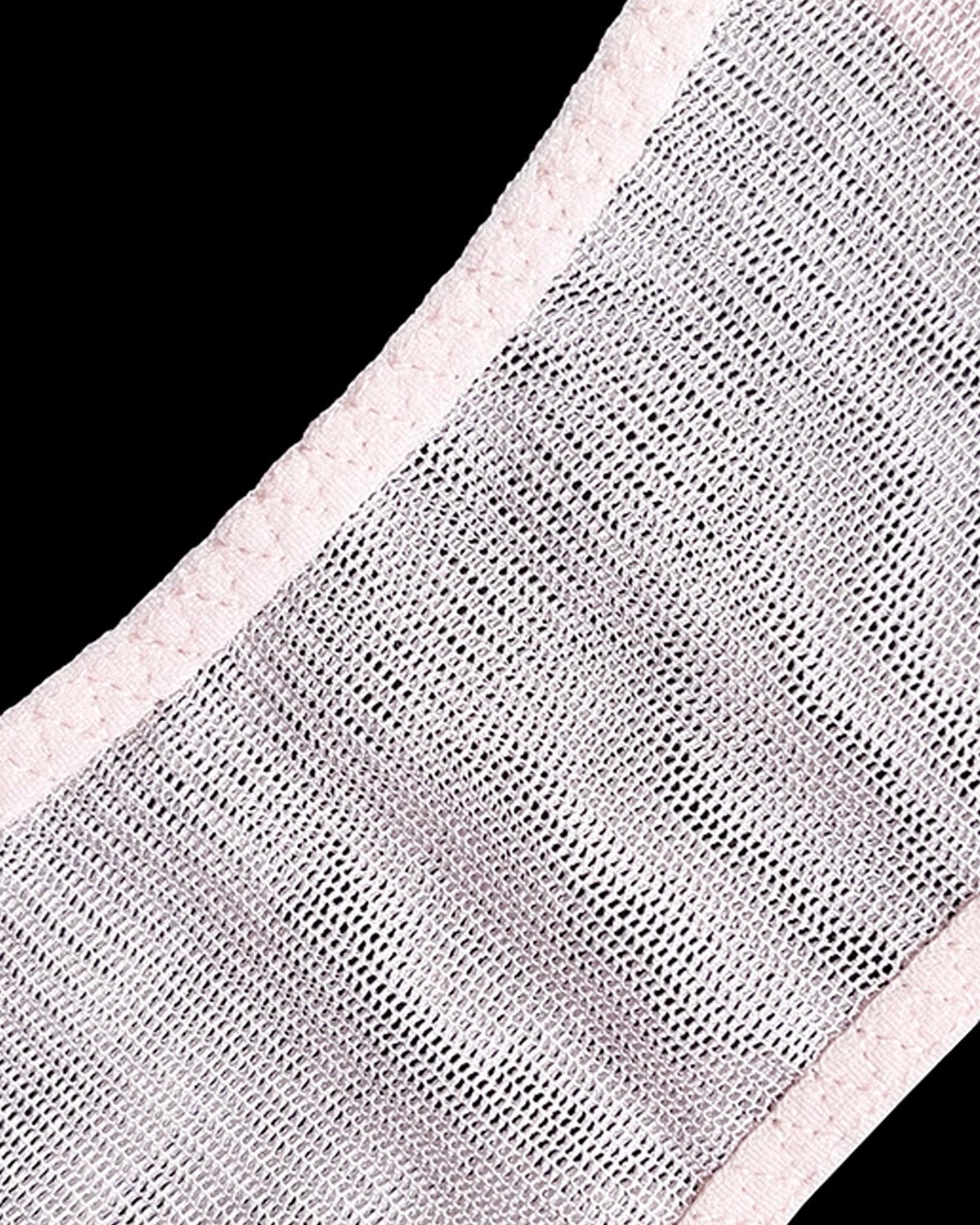 FEELITS Women’s 100% Mulberry Silk Bikini Panties – Sheer Mesh & Lace, Low - Rise Seamless Sexy Underwear - FEELITS