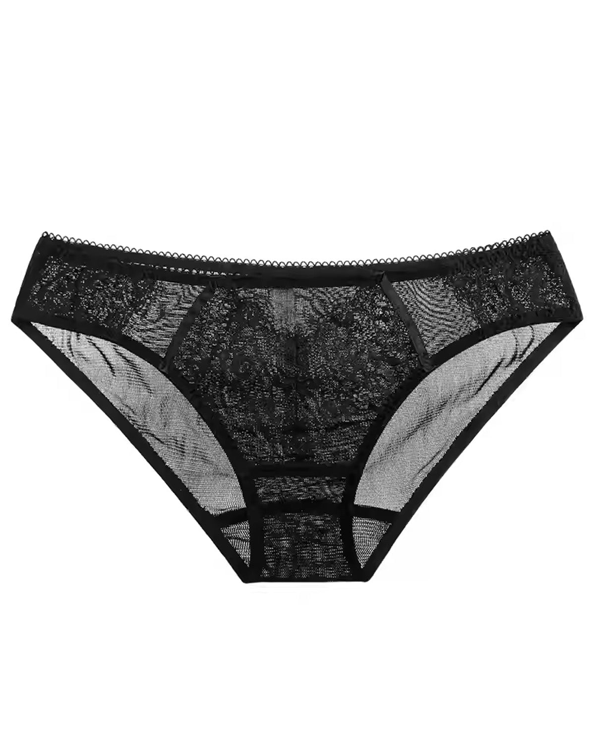 FEELITS Women’s 100% Mulberry Silk Brief Panties – Low - Rise Sheer Mesh Triangle Underwear with French Lace, Seamless Sexy Silk Lingerie - FEELITS