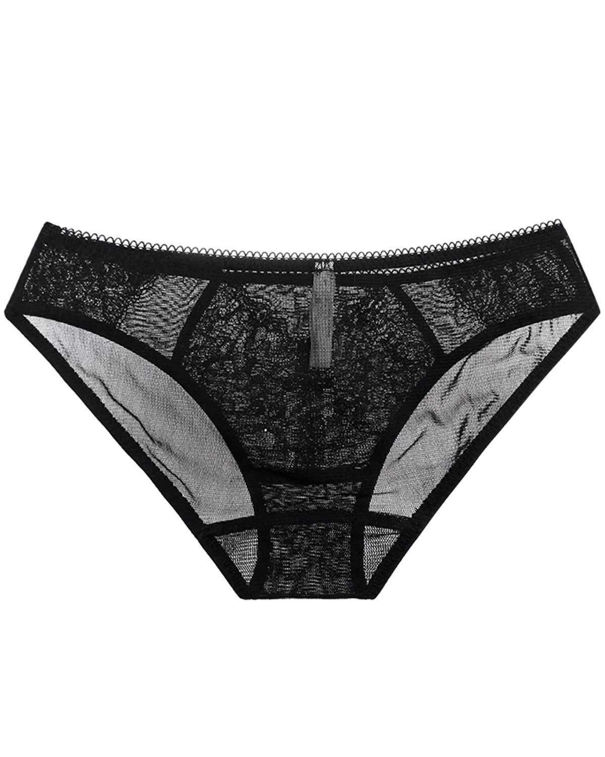FEELITS Women’s 100% Mulberry Silk Brief Panties – Low - Rise Sheer Mesh Triangle Underwear with French Lace, Seamless Sexy Silk Lingerie - FEELITS
