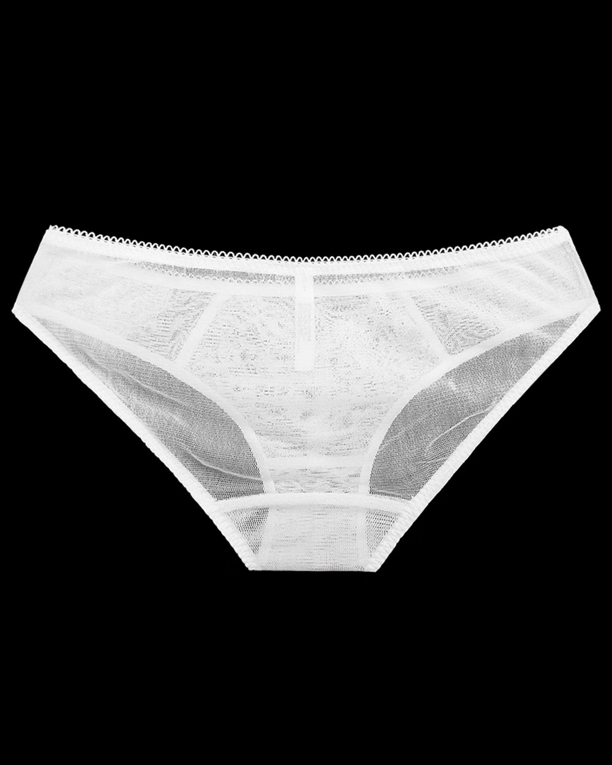 FEELITS Women’s 100% Mulberry Silk Brief Panties – Low - Rise Sheer Mesh Triangle Underwear with French Lace, Seamless Sexy Silk Lingerie - FEELITS