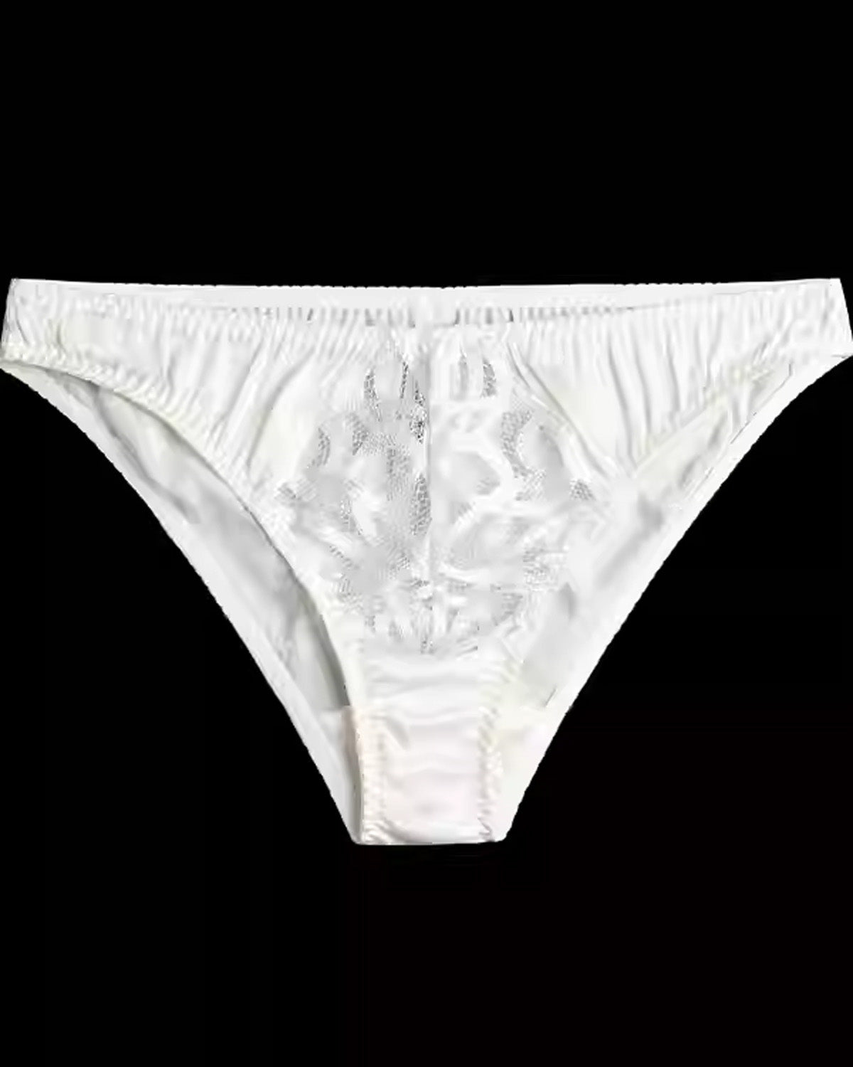 FEELITS Women’s Mulberry Silk Brief Panties – Low - Rise Seamless Triangle Underwear with Sheer Hollow Lace, Sexy Silk Lingerie - FEELITS
